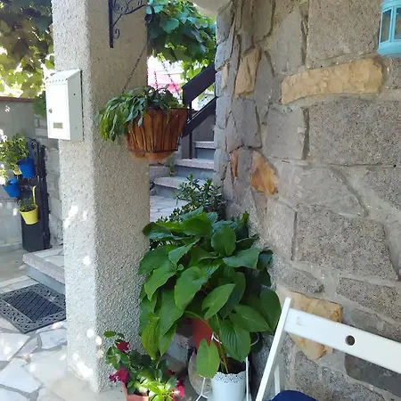 Fotini 1 Sozopol
