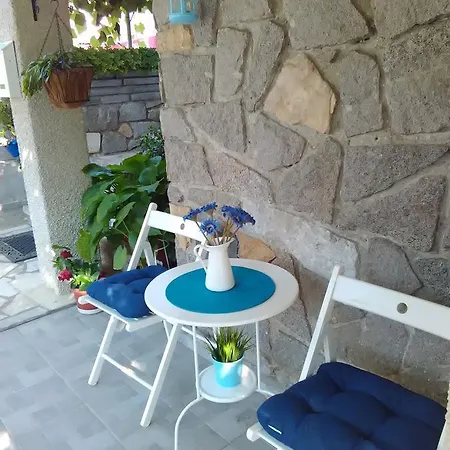 Fotini 1